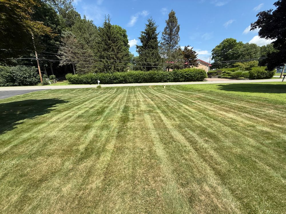 Lawn Care for Ardisi Landscaping & Design in Poughkeepsie, NY 