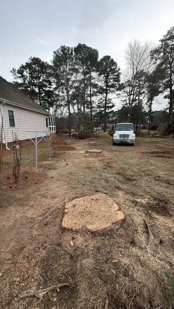All Photos for Tidewater Tree Service in Chesapeake, VA