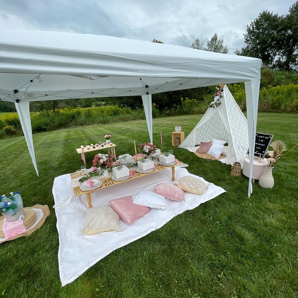 Luxury Picnic for Pink Tree Picnic in Bethel, CT