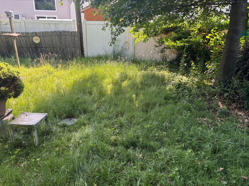 Revitalize your yard with our Overgrown Property Clean Up service, expertly tackling tangled vegetation and restoring beauty to any neglected landscape while enhancing curb appeal for homeowners seeking a fresh start. for Strong Island Property Services in West Hempstead, NY