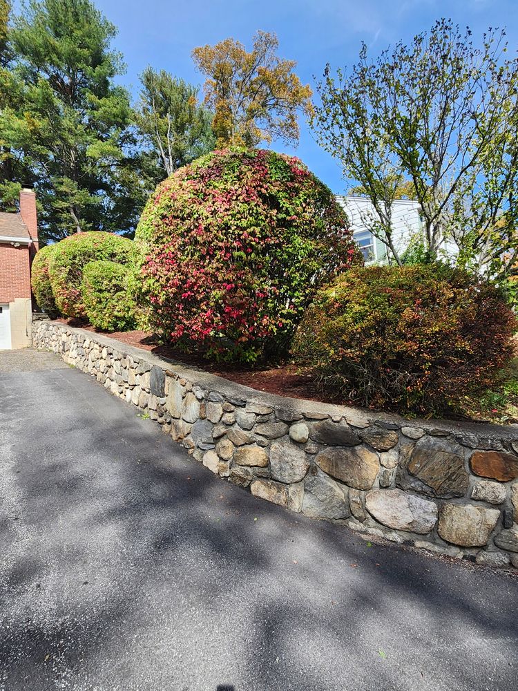 All Photos for Landscape Innovations LLC in Torrington, CT