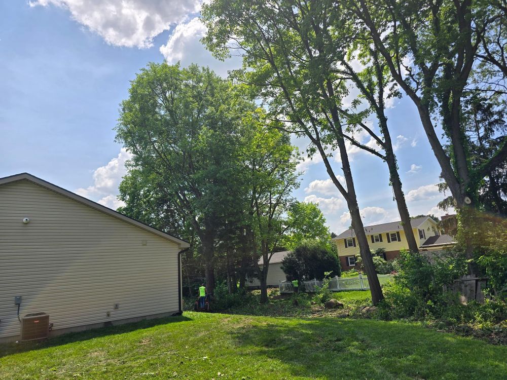 All Photos for F & F Tree Service in Beavercreek, OH