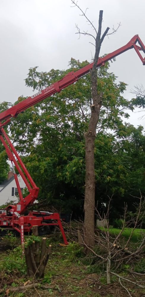 All Photos for Lawn Ranger Yard And Tree Service LLC in Ottumwa, IA