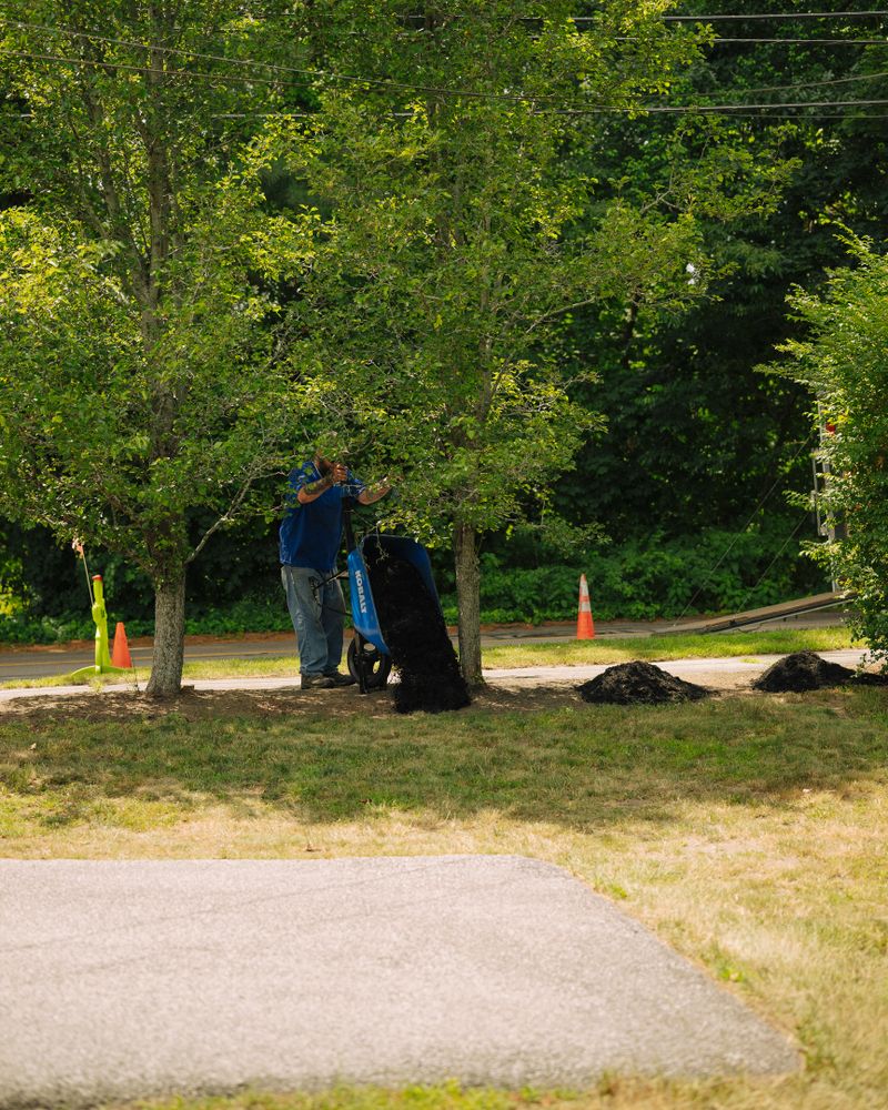 All Photos for Pungitore Landscapes, Irrigation & Fertilizer in Hingham, MA