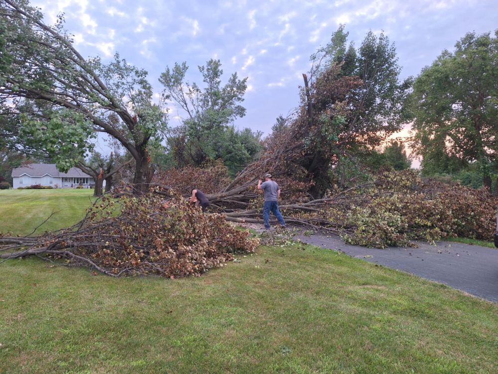 Emergency Storm Work for Highborn Tree Service in Wheatfield, IN