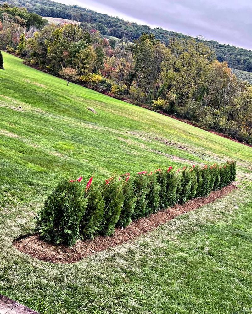 Landscaping for Jonathan A. Henne Property Services. in Hamburg, PA