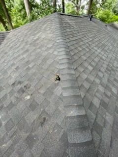 All Photos for Bulldawg Disaster Response in Atlanta, GA