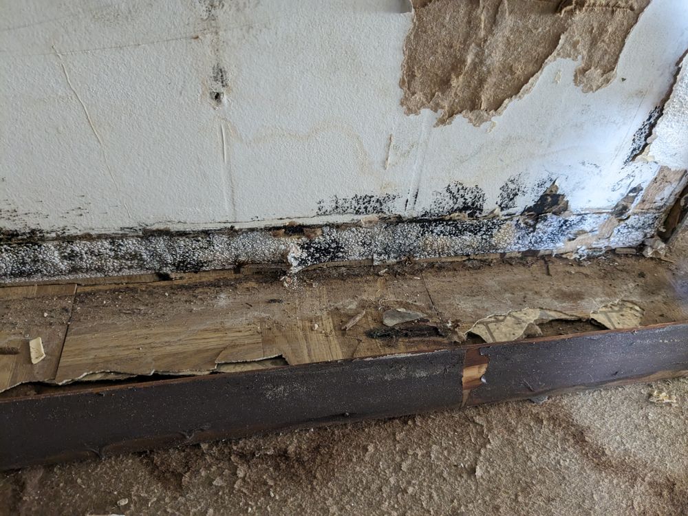 All Photos for Bar None Painting and KRS Construction in Kingman, AZ