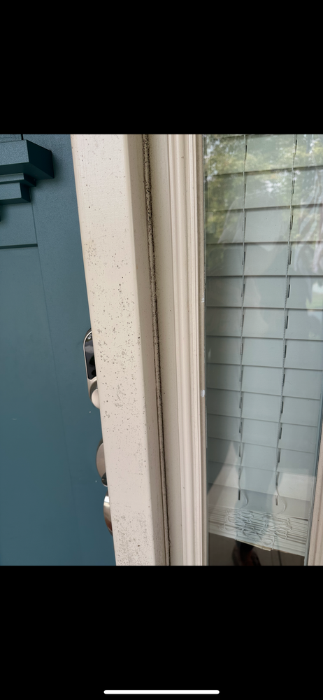 Home Softwash for JB Applewhite's Pressure Washing in Anderson, SC