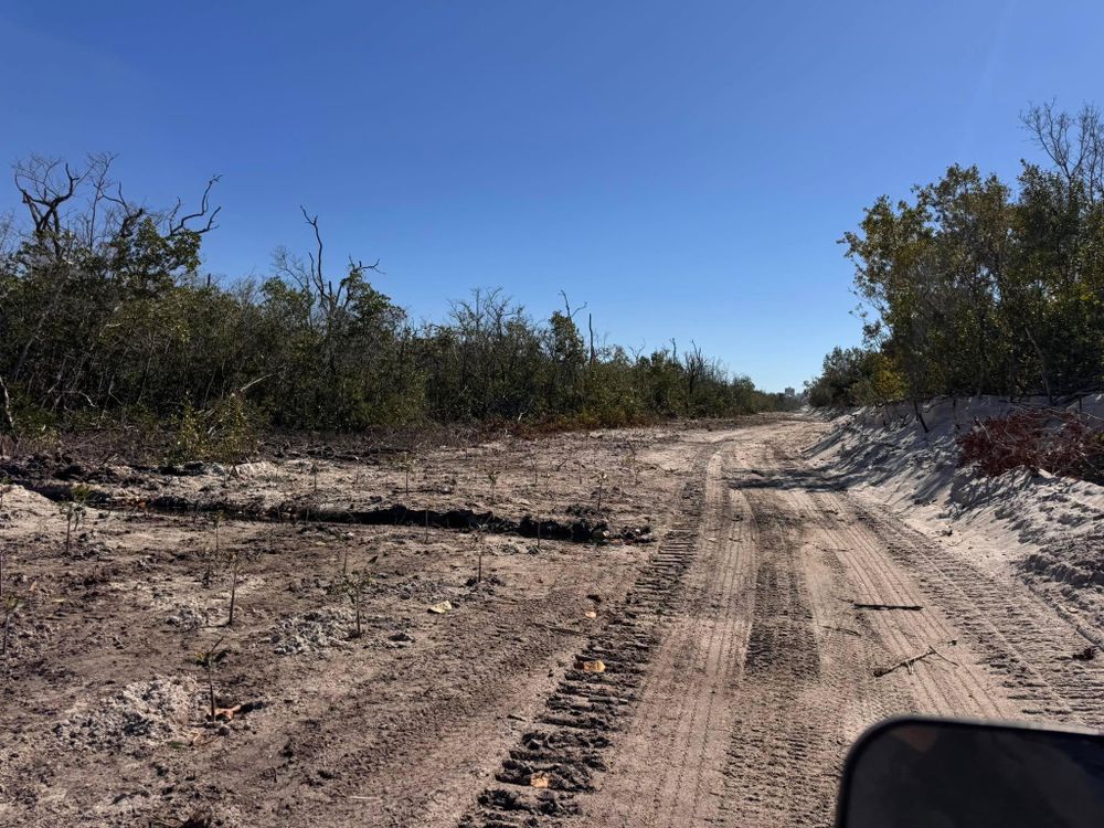 All Photos for McLeran in Naples, FL