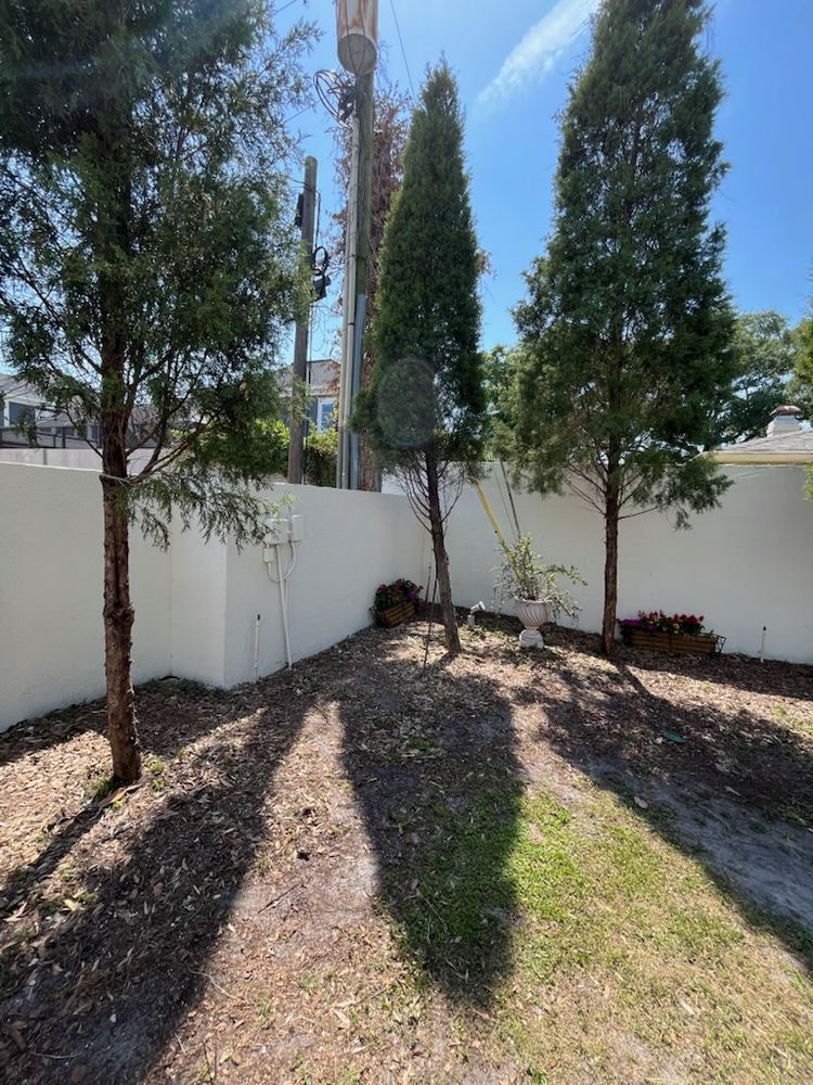 All Photos for Escorpio Painting in Tampa, FL