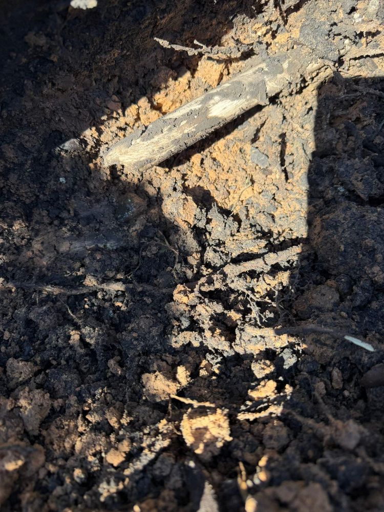 All Photos for Texas Curb N Borders in Houston, TX