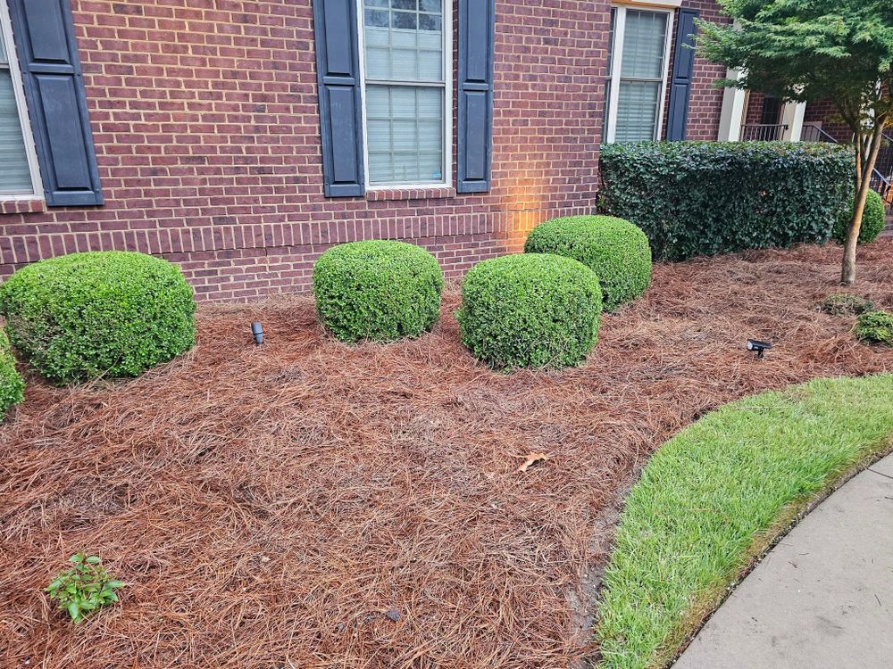 All Photos for 1 Man Does It Lawn Service in Blythewood, SC