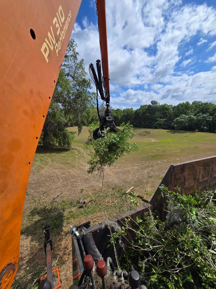 All Photos for Near Me Tree Service, Inc. in DeLand, FL