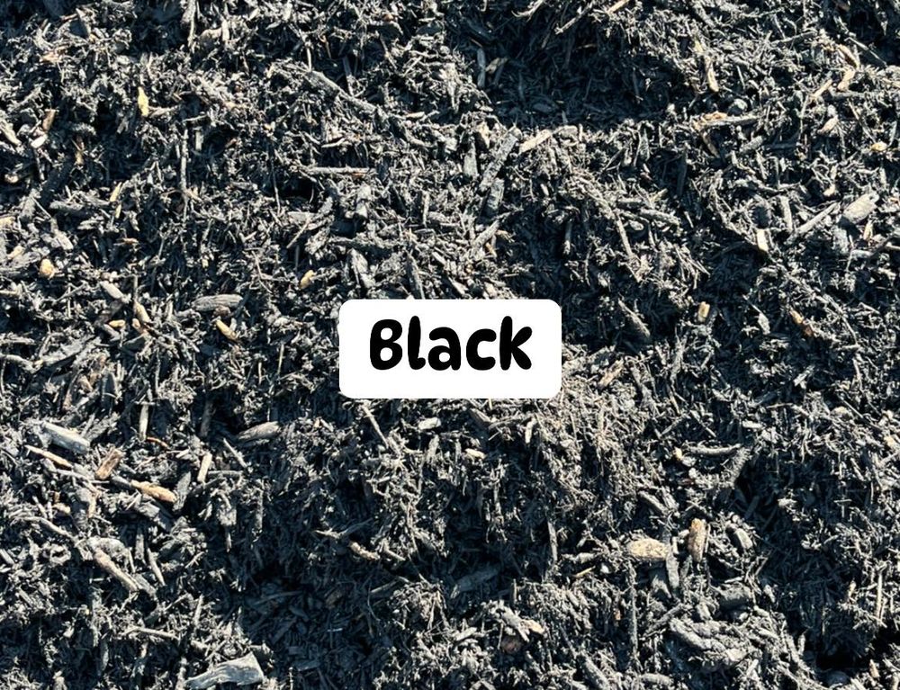 All Photos for Artistic Edges LLC in Texarkana, AR