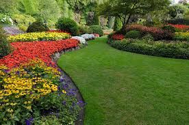 All Photos for TLM Landscape Professionals in Clermont, FL