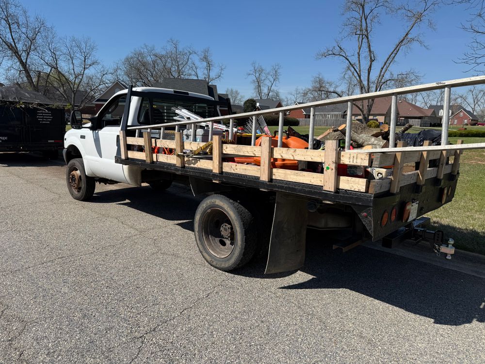 All Photos for T N L - Tree and Land Service in Reynolds, GA