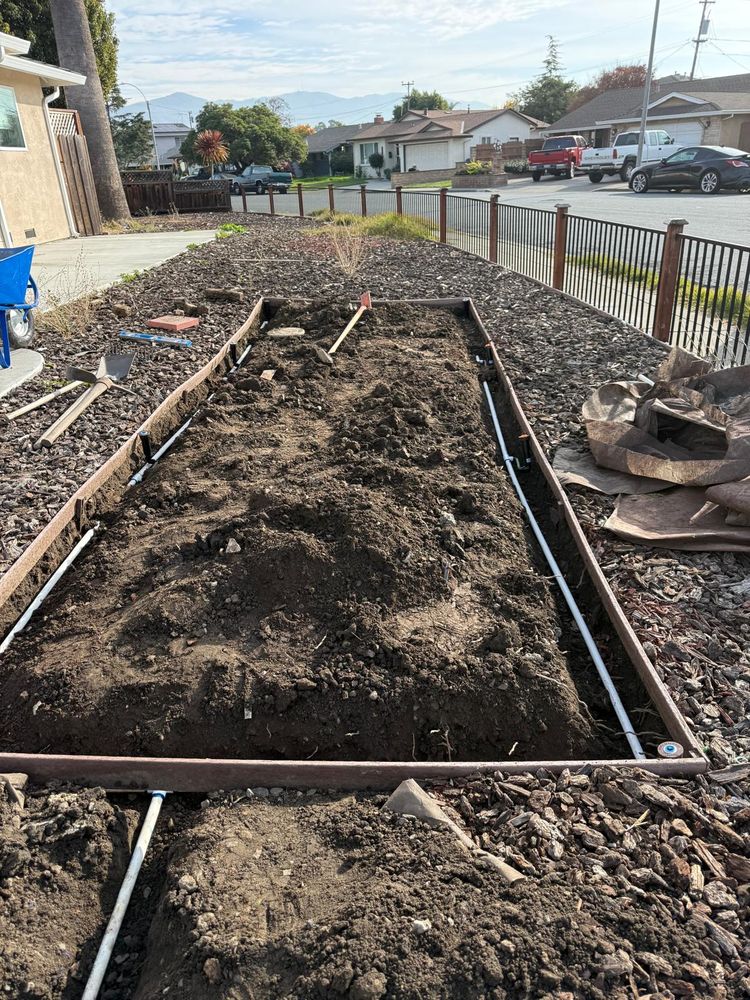 All Photos for CBA Landscaping in Hayward, CA