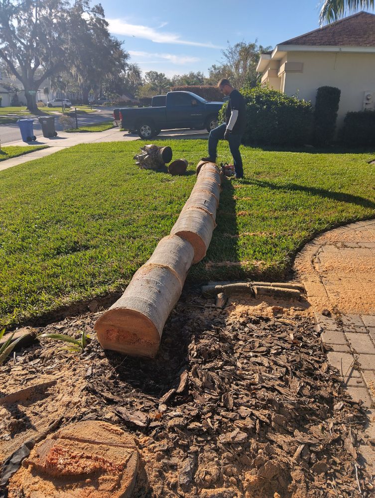 Our expert Tree Removal service ensures safe and efficient removal of unwanted or hazardous trees, enhancing your property's beauty and safety while minimizing disruption to your landscape. Contact us for a consultation. for Bills Tree Service in Valrico, FL