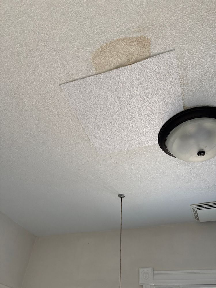 All Photos for Ziemer Painting Services in Appleton, WI