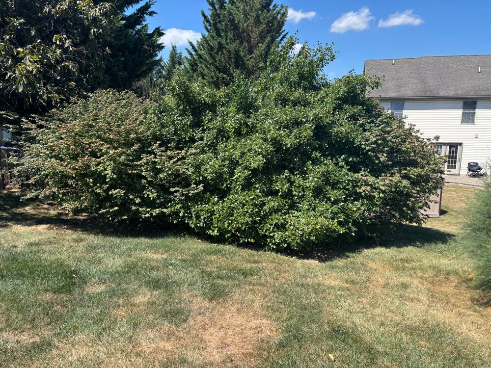 All Photos for Backyard Acres Lawncare LLC in Chambersburg, PA