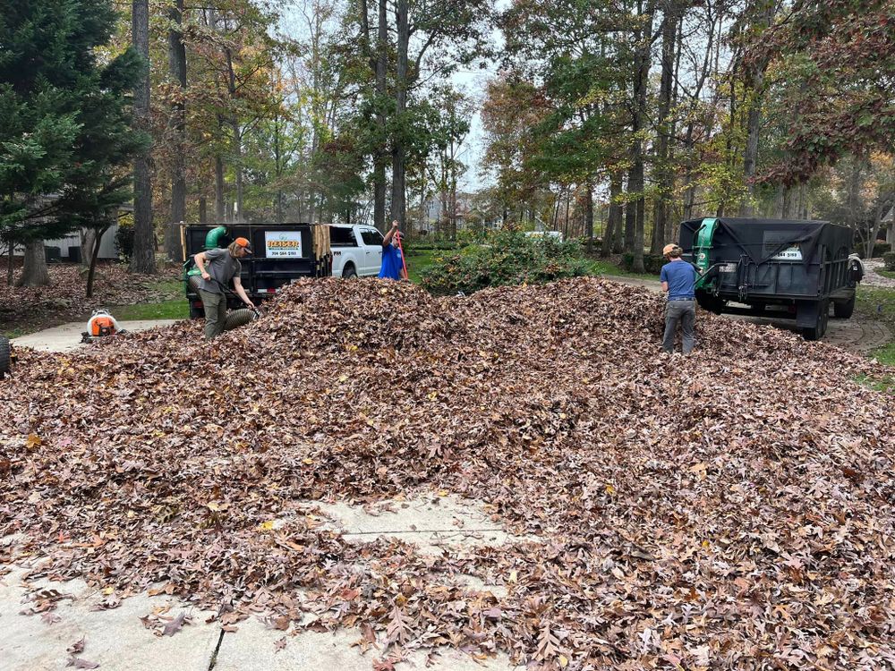 Our Team and Equipment for Reiser Lawn Service in Denver, North Carolina