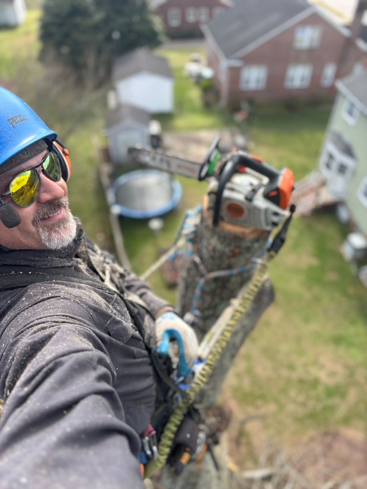 All Photos for Ascending Tree Service LLC in Kenbridge, VA