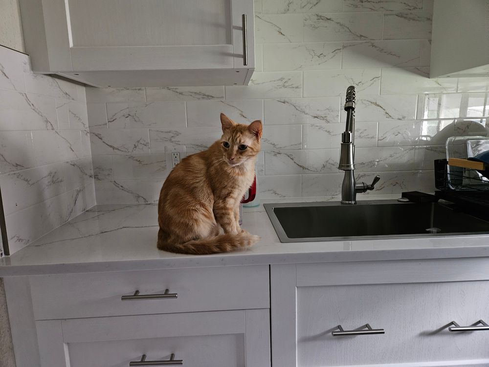 All Photos for Tile-N-All in Denton, TX