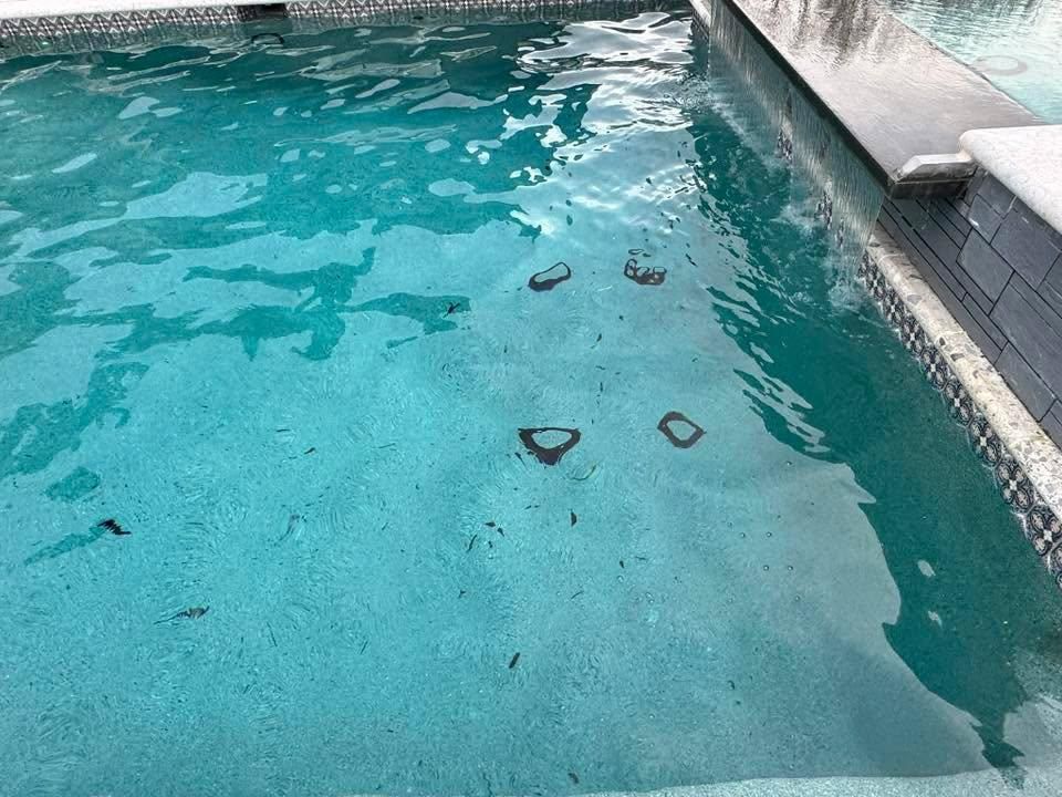 All Photos for Primetime Pools LLC in Winder, GA