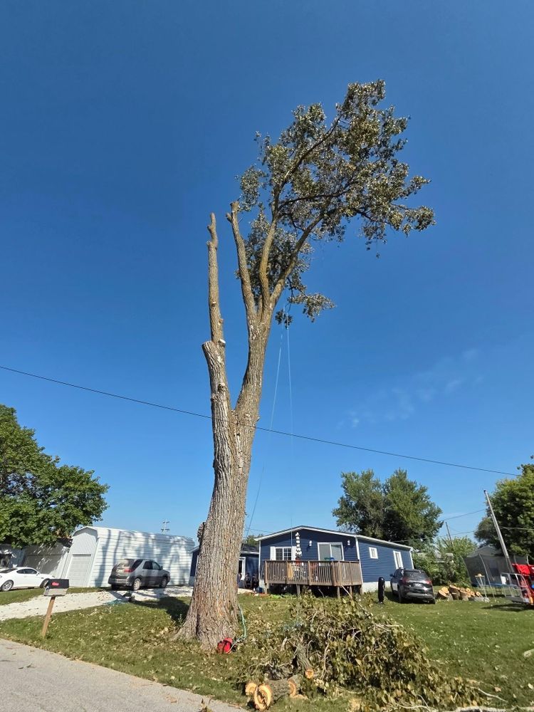 All Photos for Lawn Ranger Yard And Tree Service LLC in Ottumwa, IA