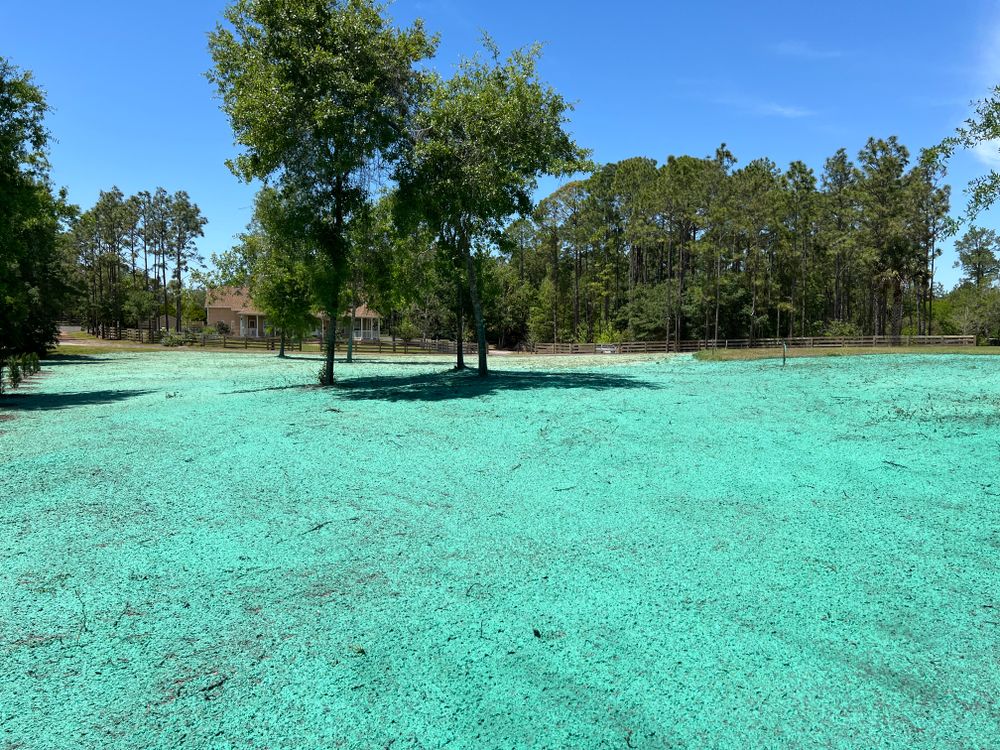 Our Hydroseeding service is a great way to quickly and easily cover a large area with grass. We can help you get your lawn looking great in no time! for Apex Outdoors Of Volusia in Volusia County, FL