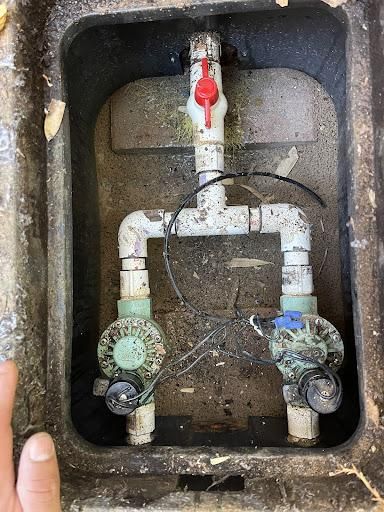 All Photos for Oliver L. Palm & Tree services in Yuma County, AZ