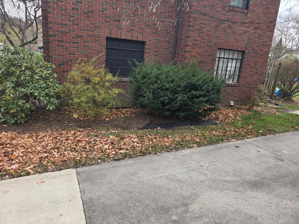 All Photos for Bryant Property Solutions in Altoona, PA