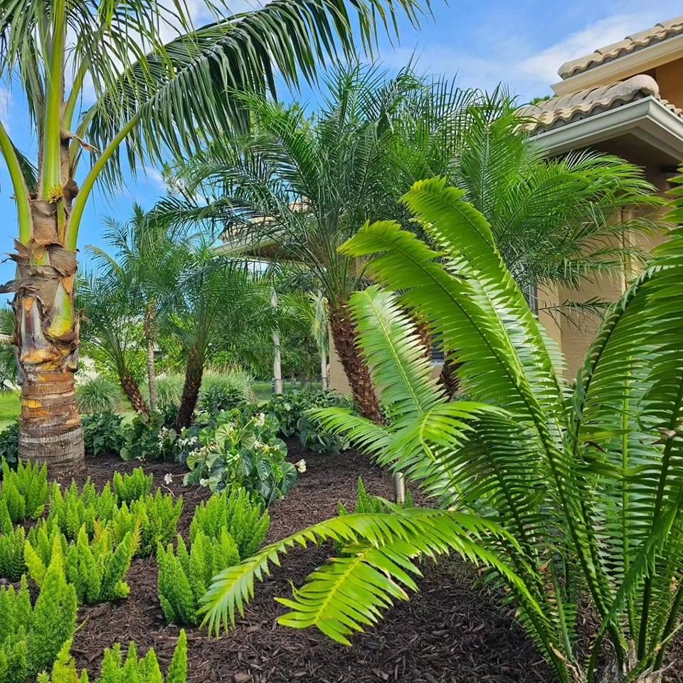 Landscape Installation  for Natural View Landscape, Inc.  in Loxahatchee, FL