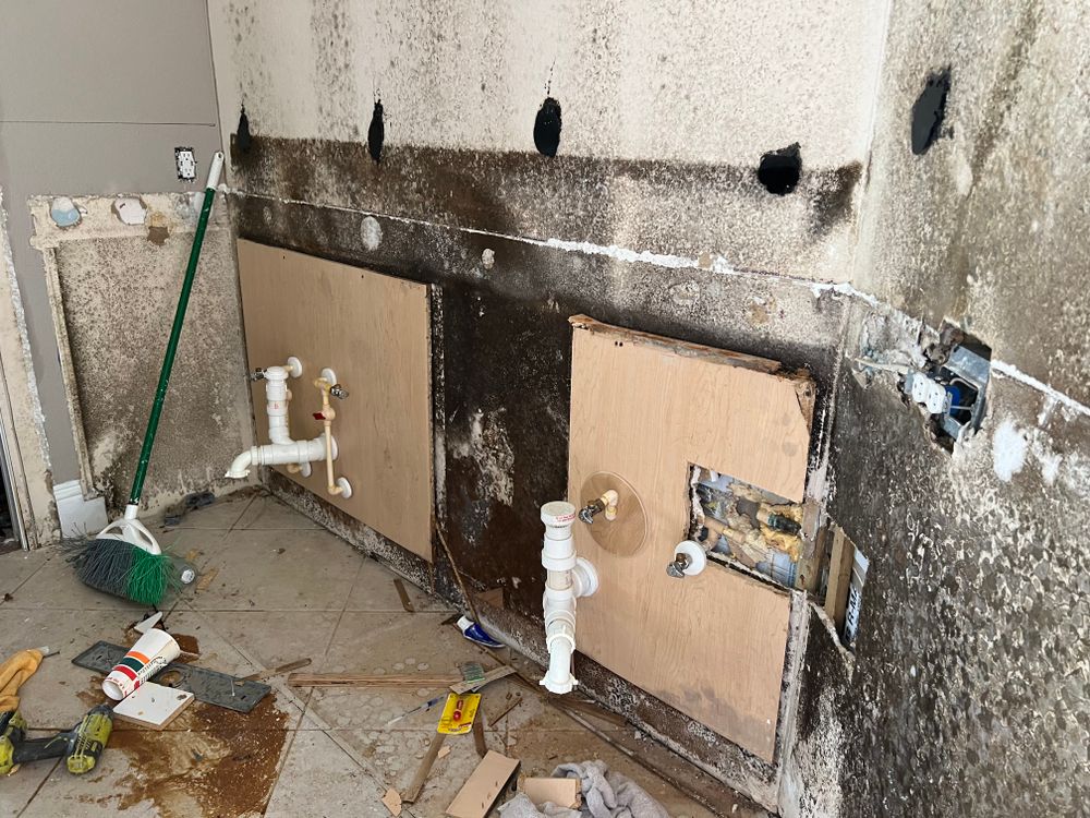 Mold Remediation for N&D Restoration Services When Disaster Attacks, We Come In in Cape Coral,  FL