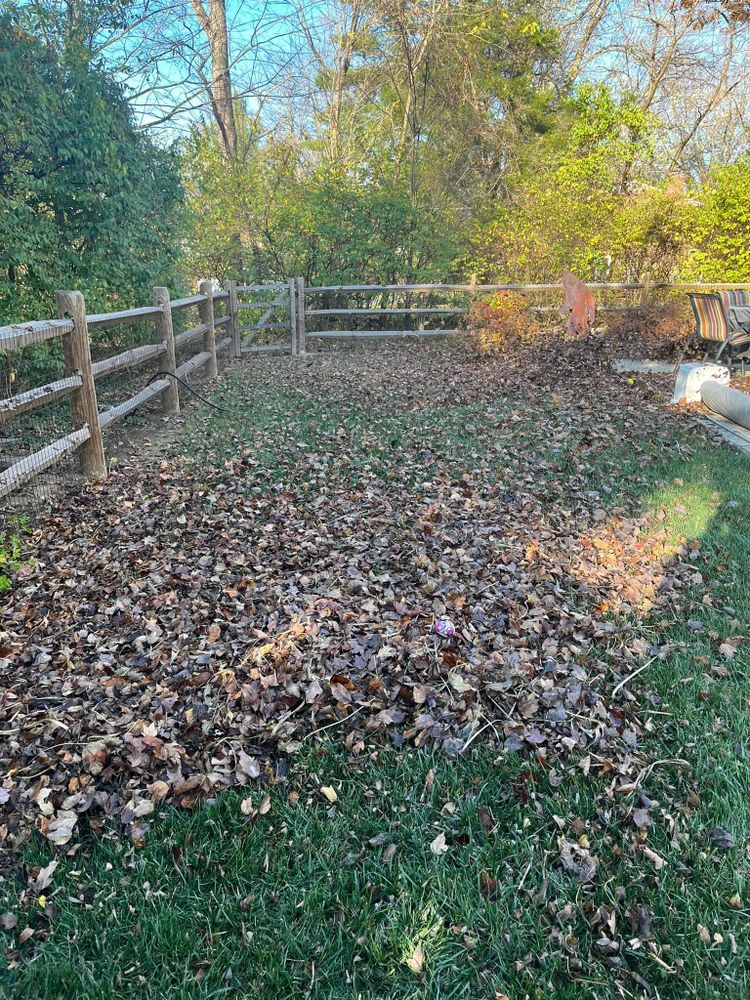 All Photos for Cincinnati’s Finest Landscape Services LLC in Cincinnati, OH
