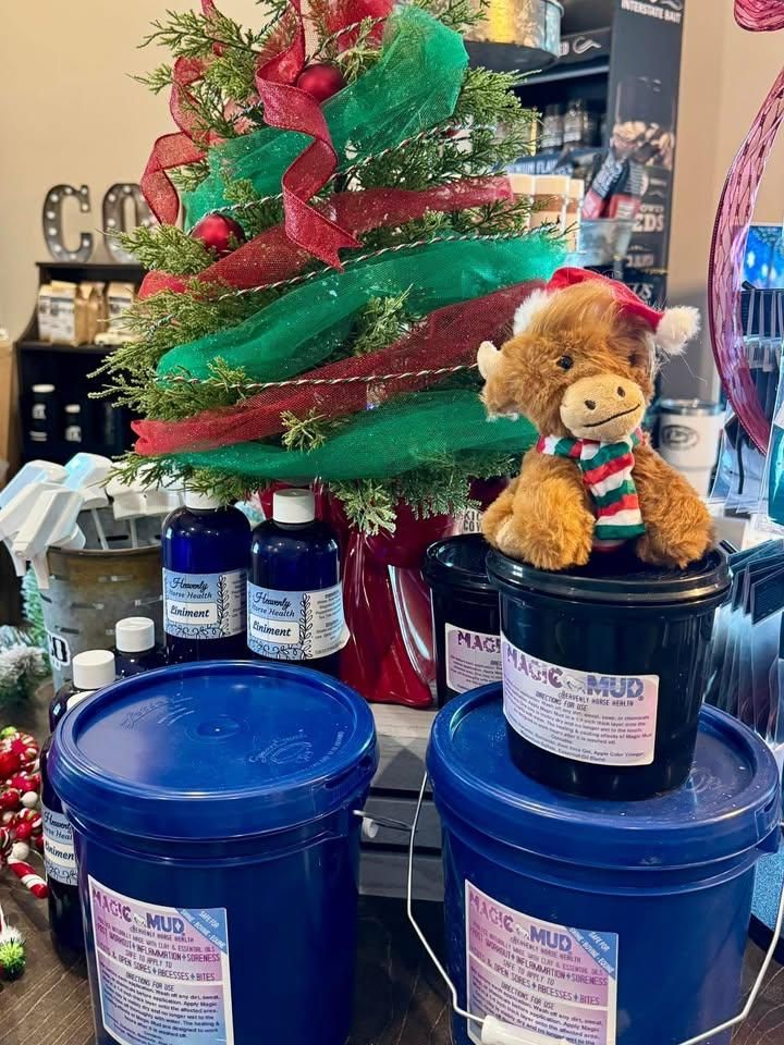 All Photos for Florida Native Equestrian Development in Central Florida, FL