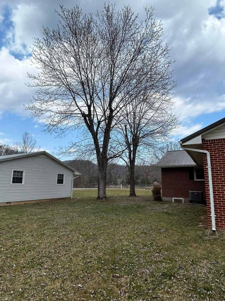 All Photos for NRV Tree Pro, LLC in Narrows, VA