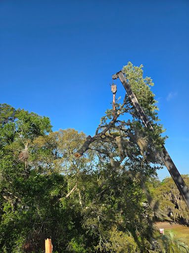 All Photos for Near Me Tree Service, Inc. in DeLand, FL