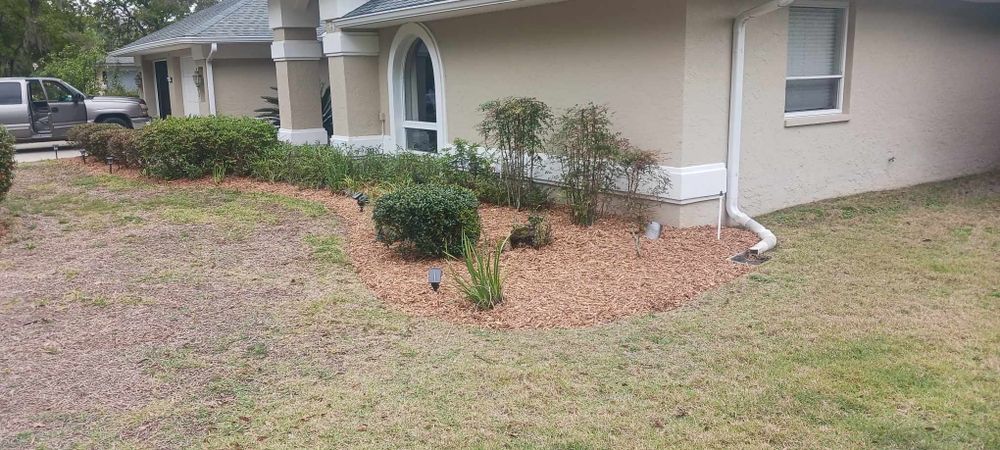 Revitalize your home's exterior with our expert power washing service, removing dirt and grime effectively to enhance curb appeal. Trust our skilled team for a cleaner, fresher look year-round. for O'Donnell Tree and Handyman Services in Pine Ridge, FL
