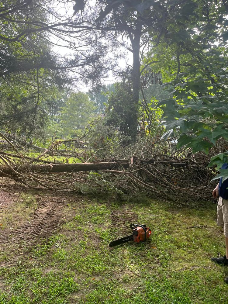 Tree Removal for Big Rock Tree Removal LLC in Boaz, AL