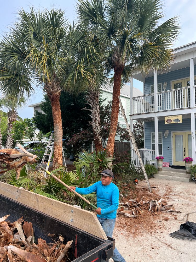 Landscape design projects for Everything for the Home Inc. in Destin, FL