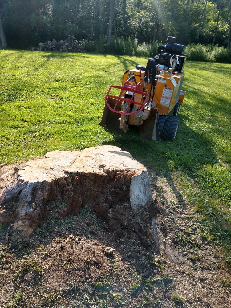 Stump Removal for TH Property Service, LLC in Manlius, NY