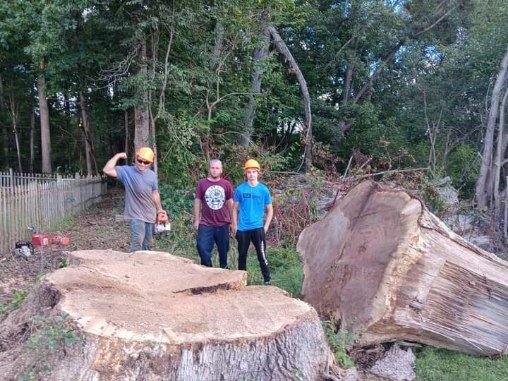 All Photos for The Webster Tree Service in Danville, VA