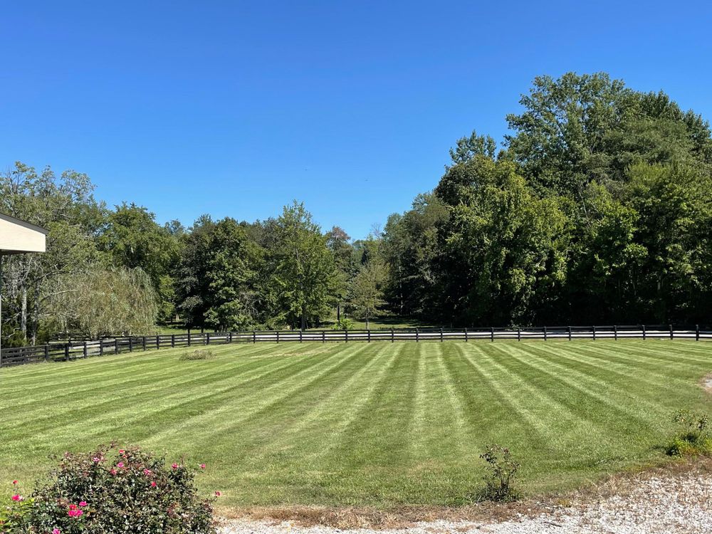 Landscaping for Transforming Landscaping & Tree Service in Bowling Green, KY