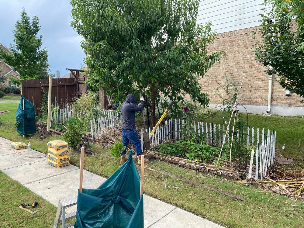 Robert’s Lawn & Tree Service team in Austin, TX - people or person