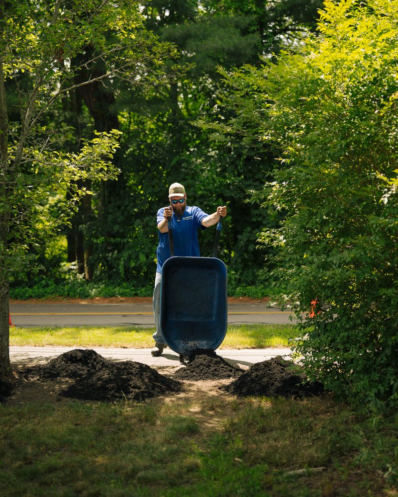 All Photos for Pungitore Landscapes, Irrigation & Fertilizer in Hingham, MA