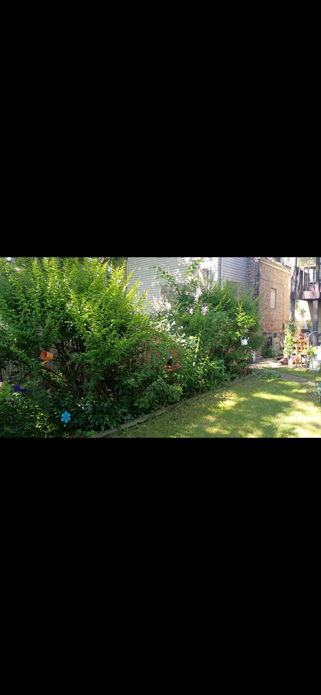 All Photos for Superior Lawn Care & Snow Removal LLC  in Chicago, IL