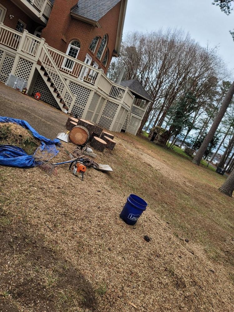 Our comprehensive stump removal service ensures your yard is neat and ready for new landscaping. Available alongside our dependable snow removal solutions to keep your property pristine all year round. for Integrity Tree and Landscaping in Lynchburg, VA