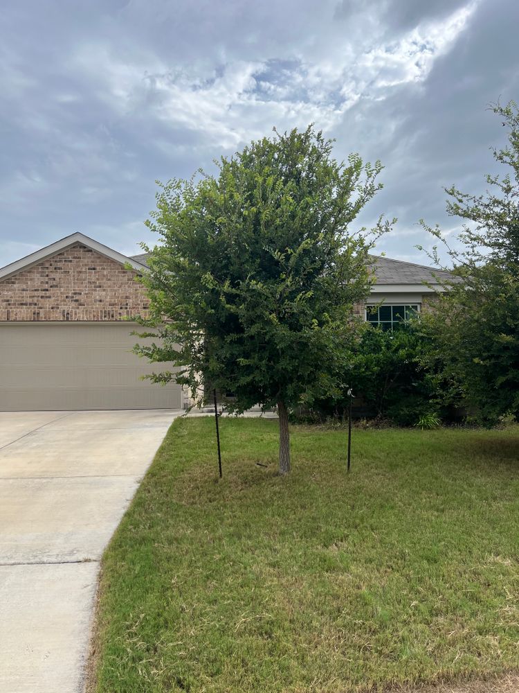 All Photos for DR Landscape in San Antonio, TX